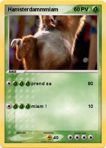 Pokemon Hamsterdammmiam