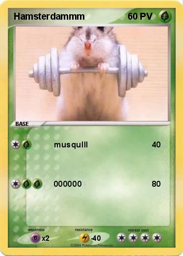 Pokemon Hamsterdammm