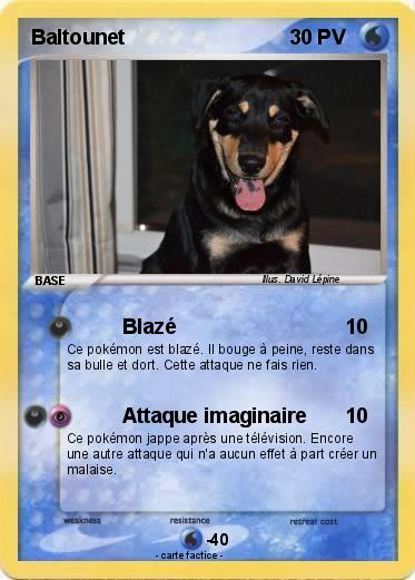 Pokemon Baltounet