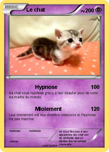 Pokemon Le chat