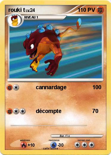 Pokemon rouki t