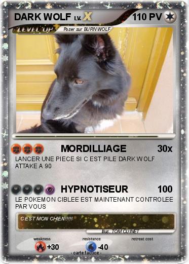 Pokemon DARK WOLF