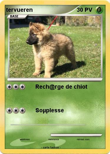 Pokemon tervueren