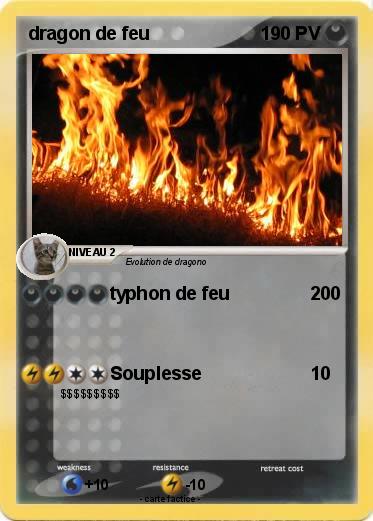 Pokemon dragon de feu