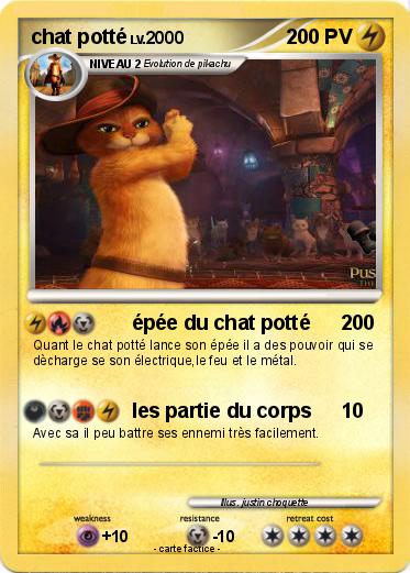 Pokemon chat potté
