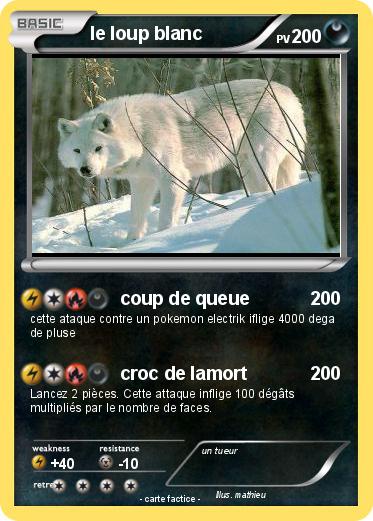 Pokemon le loup blanc