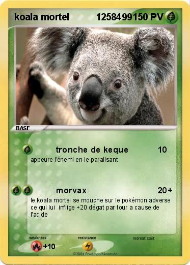 Pokemon koala mortel          1258499