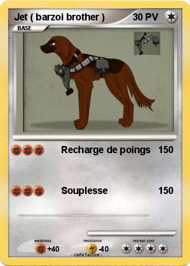 Pokemon Jet ( barzoi brother )