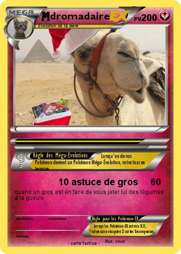Pokemon dromadaire