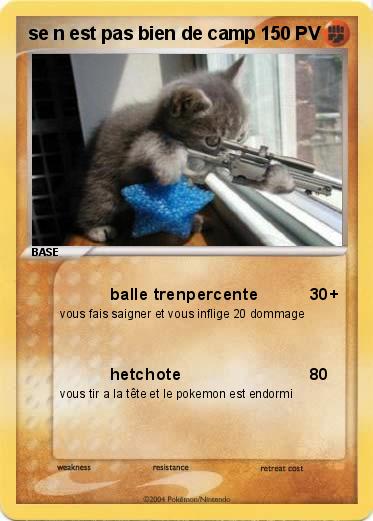 Pokemon se n est pas bien de camp              