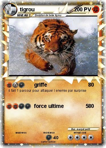 Pokemon tigrou