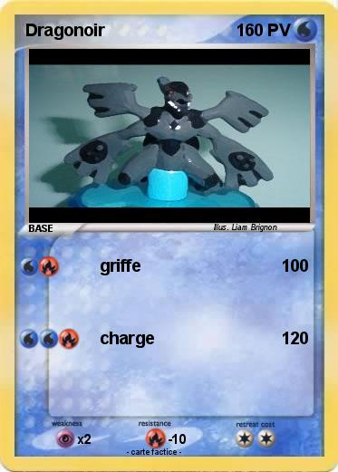Pokemon Dragonoir