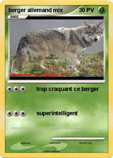 Pokemon berger allemand mix