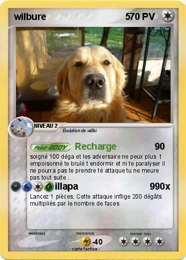 Pokemon wilbure                               5