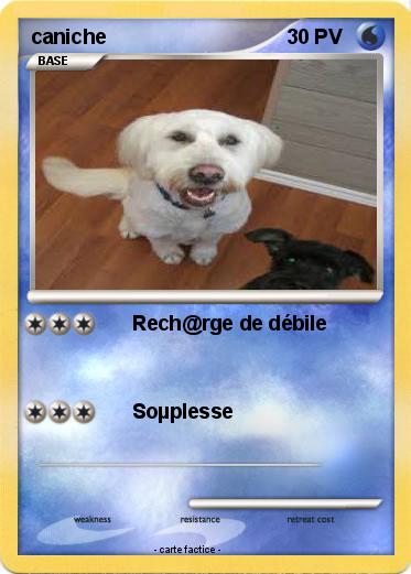 Pokemon caniche