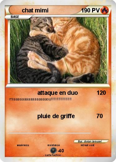 Pokemon chat mimi