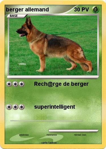 Pokemon berger allemand