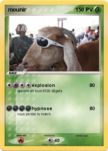 Pokemon mounir 