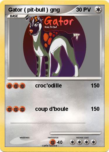 Pokemon Gator ( pit-bull ) gng