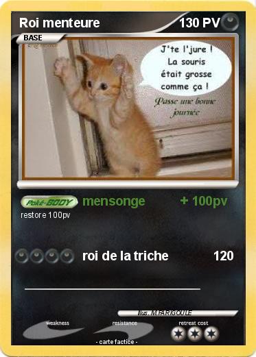 Pokemon Roi menteure