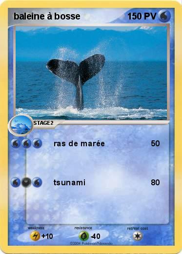 Pokemon baleine à bosse