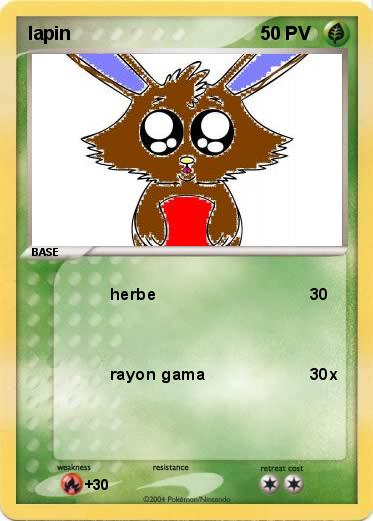 Pokemon lapin 