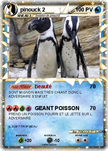 Pokemon pinouck 2