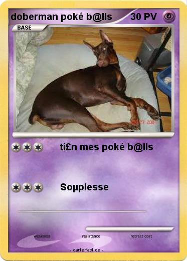 Pokemon doberman poké b@lls