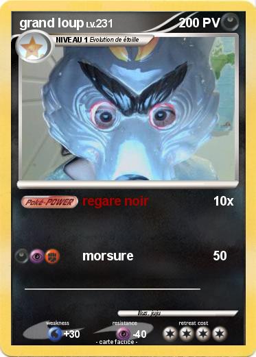 Pokemon grand loup