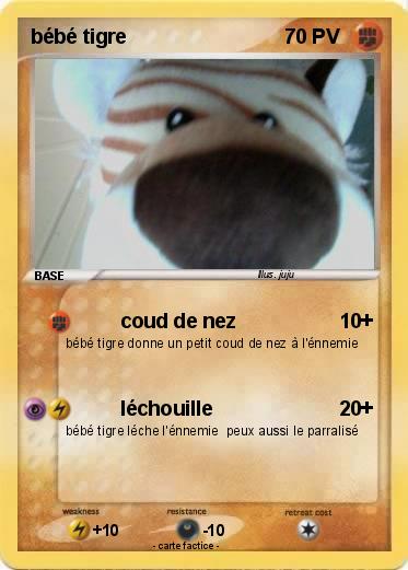 Pokemon bébé tigre