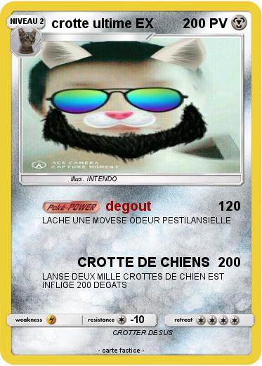 Pokemon crotte ultime EX