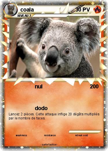 Pokemon coala