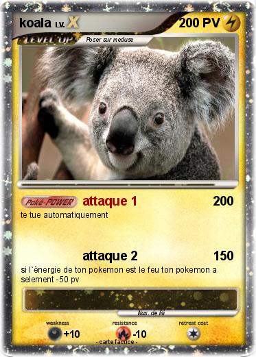 Pokemon koala