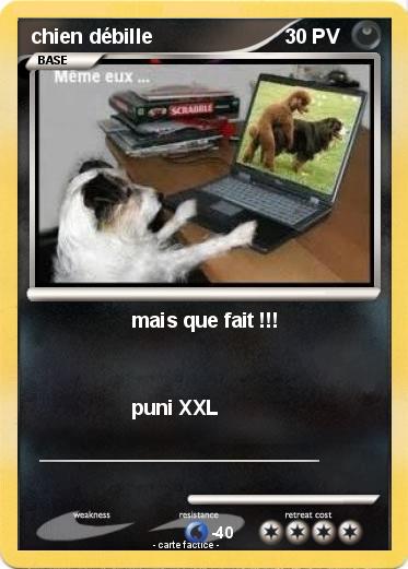 Pokemon chien débille