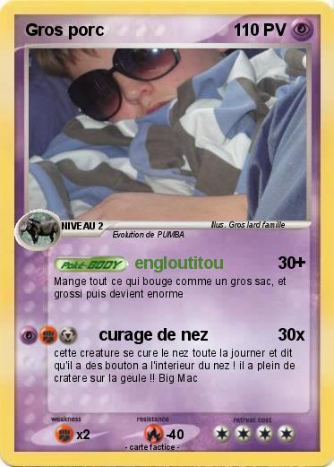 Pokemon Gros porc