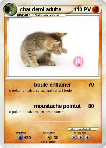 Pokemon chat demi adulte