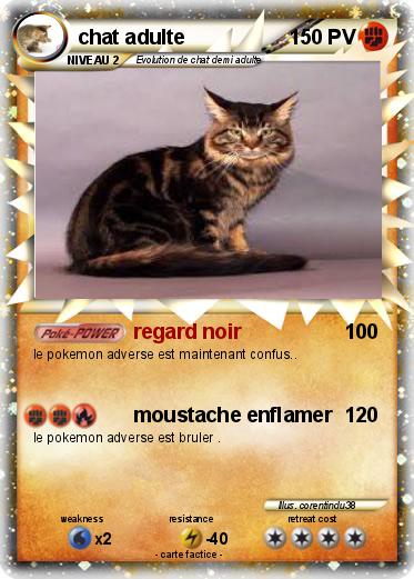 Pokemon chat adulte