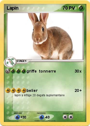Pokemon Lapin