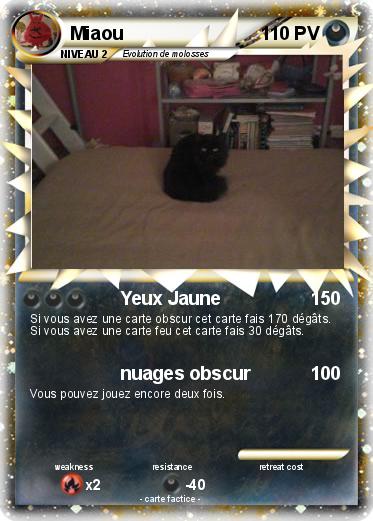 Pokemon Miaou