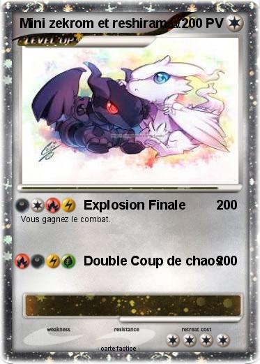 Pokemon Mini zekrom et reshiram