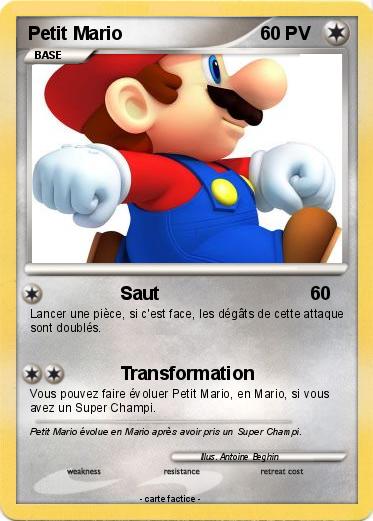 Pokemon Petit Mario