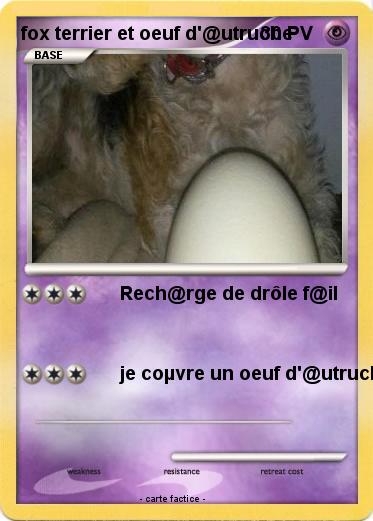Pokemon fox terrier et oeuf d'@utruche