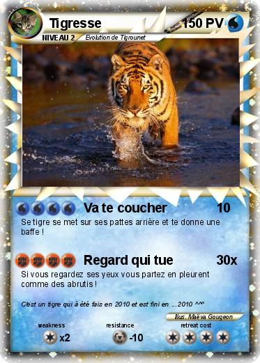 Pokemon Tigresse