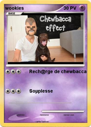 Pokemon wookies