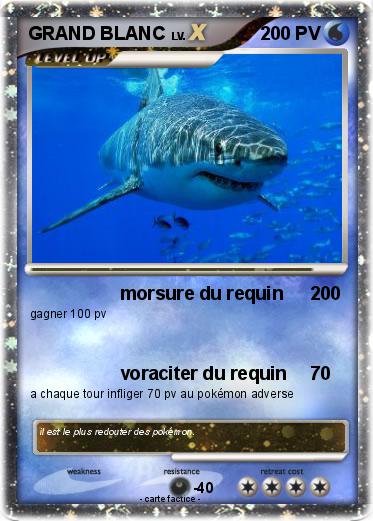 Pokemon GRAND BLANC
