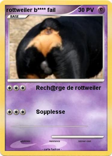 Pokemon rottweiler b**** fail