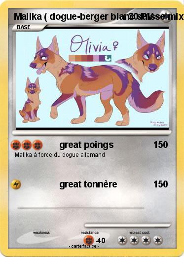 Pokemon Malika ( dogue-berger blanc suisse mix )