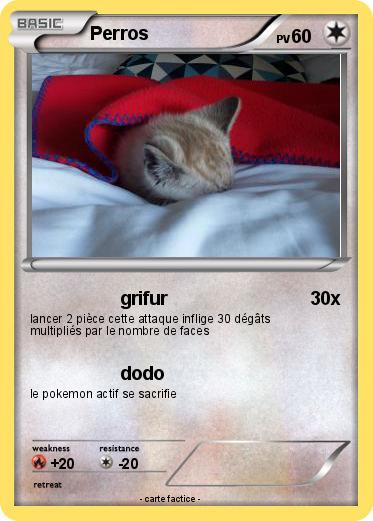 Pokemon Perros