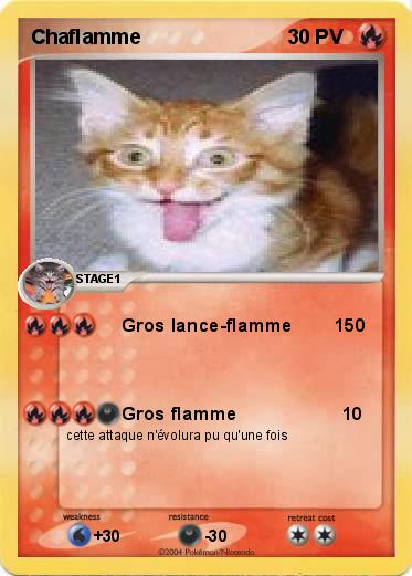 Pokemon Chaflamme