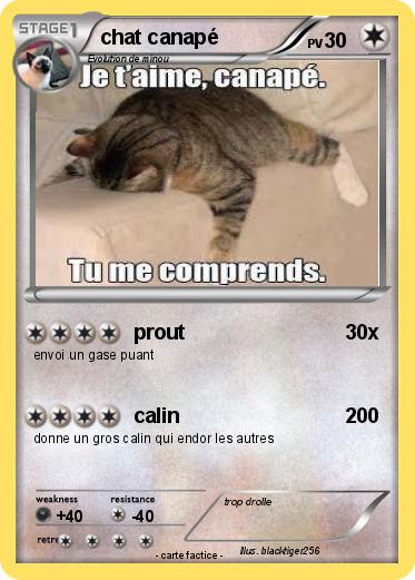 Pokemon chat canapé